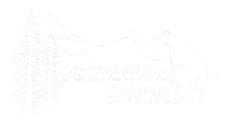 Destination Canines
